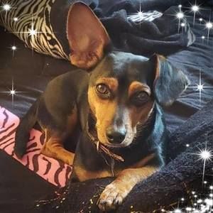 Meet your Posher, Kris